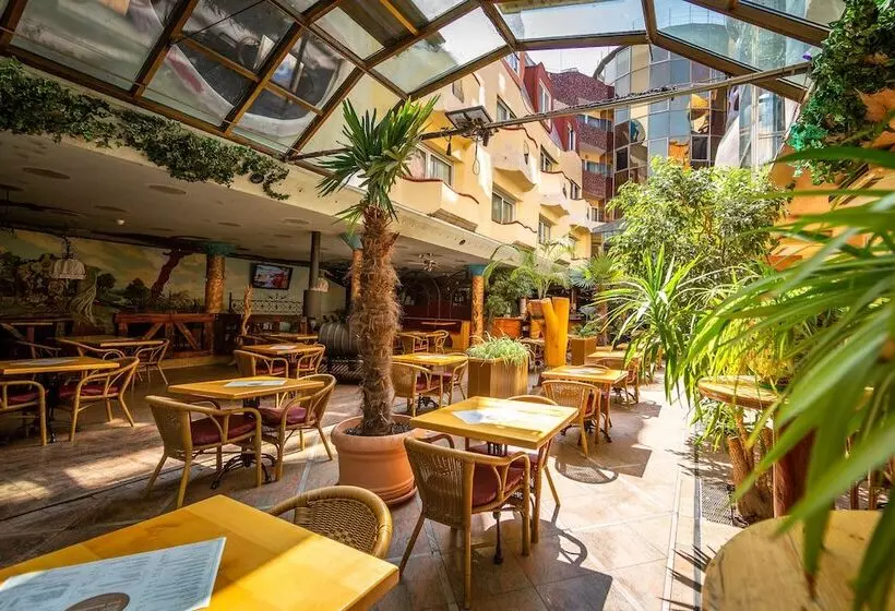 Fotos del hotel Allvitalis Traum:  5