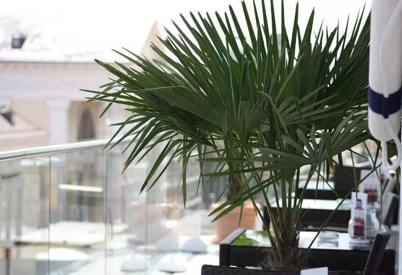 Fotos del hotel Am Markt:  10