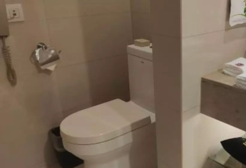 Fotos del hotel Roying:  7