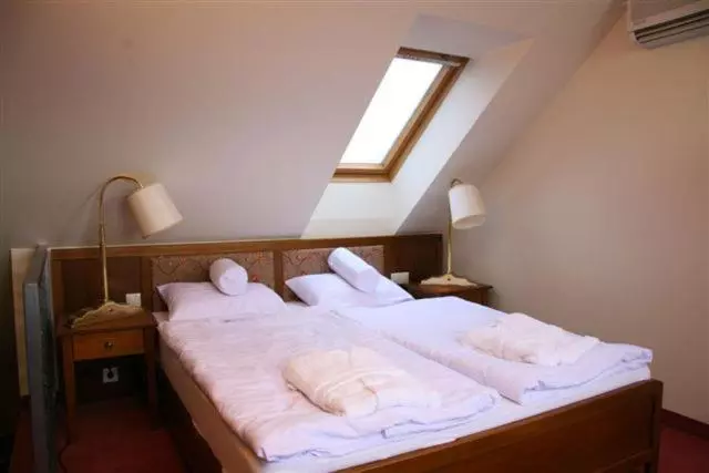 Fotos del hotel Amira Boutique Hotel Hévíz Wellness & Spa:  25