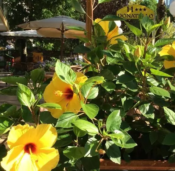 Fotos del hotel Donatello:  22