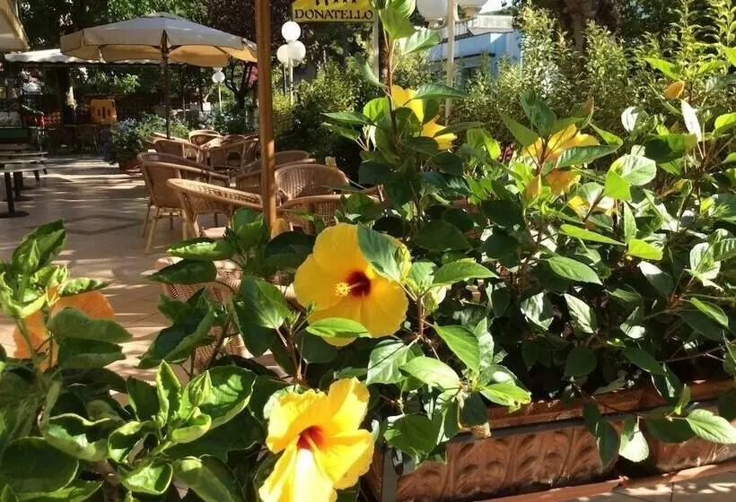 Fotos del hotel Donatello:  10