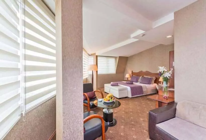 Fotos del hotel Vatan Asur:  11