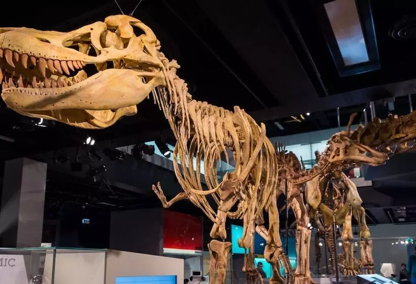 Fotos del hotel Clocktower Apartment:  10