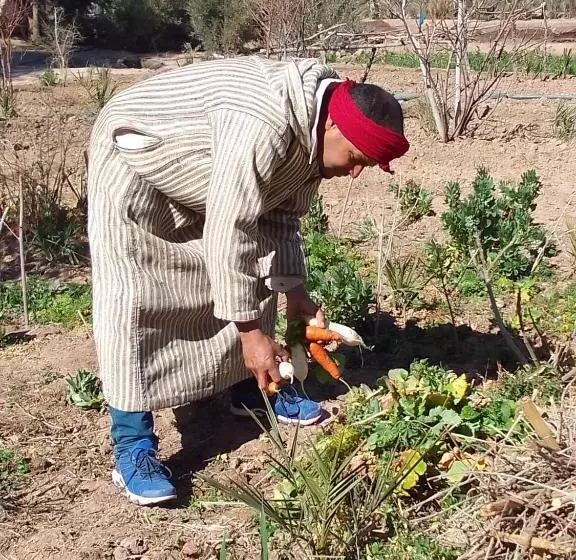 Fotos del hotel Kasbah Dar Dmana:  15