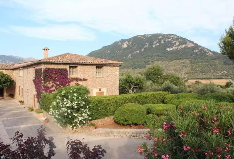 Fotos del hotel Ca S Garriguer:  17