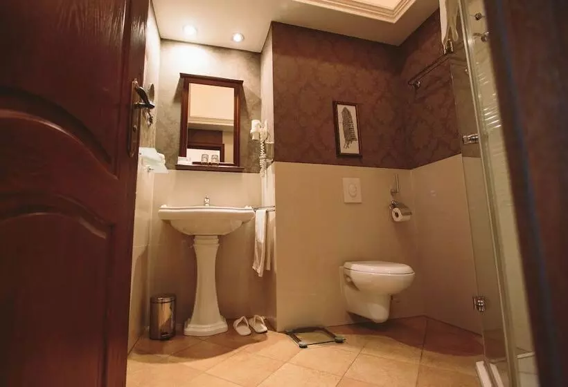 Fotos del hotel Mozart:  6