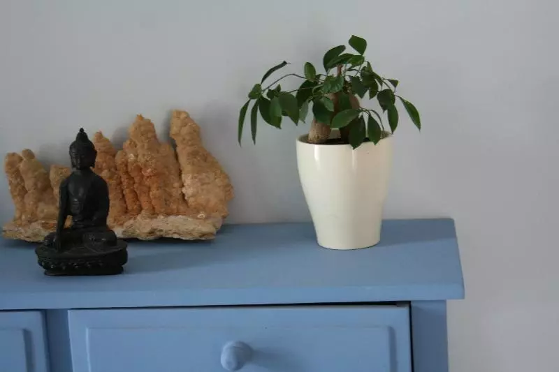 Fotos del hotel Naiades Almiros River:  7