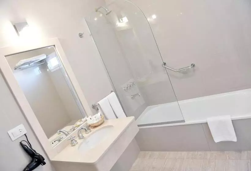 Fotos del hotel Luxor Hotel Salta:  8