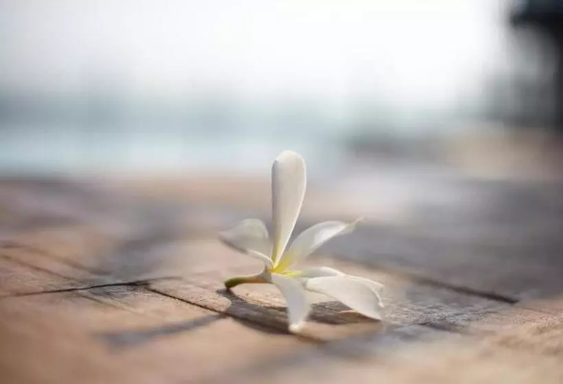 Fotos del hotel Hablis Chennai:  9