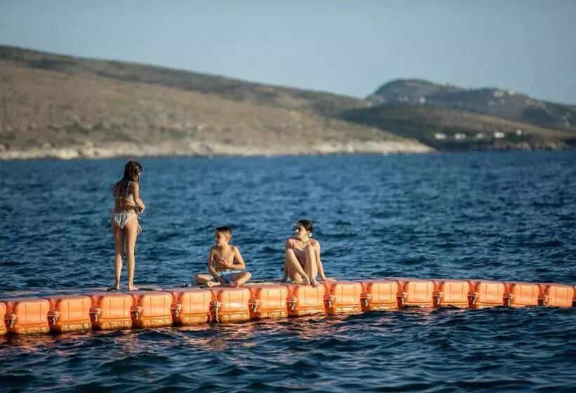 Fotos del hotel Jaroal:  13