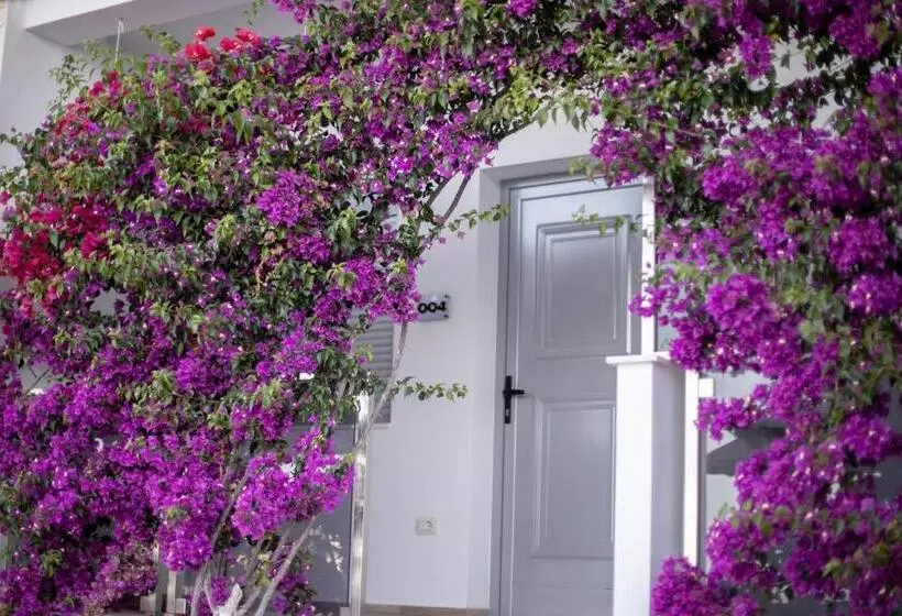 Fotos del hotel Jaroal:  8