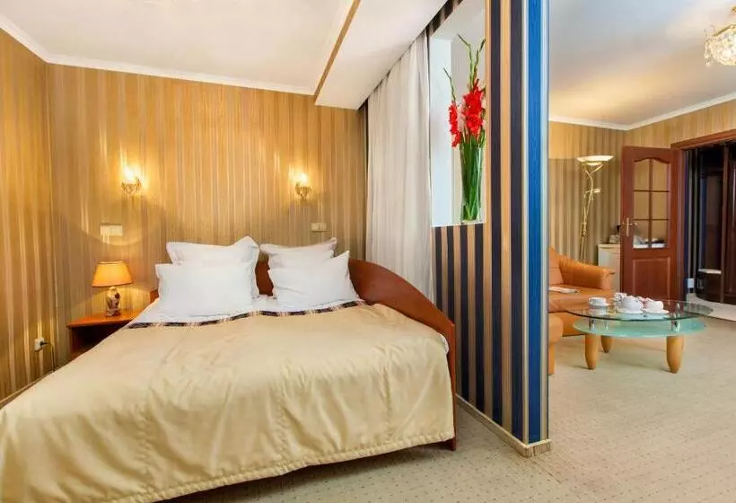 Fotos del hotel Conference  Suputnyk:  17