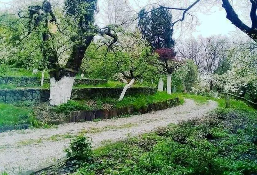 Fotos del hotel Ekosamotnia:  23