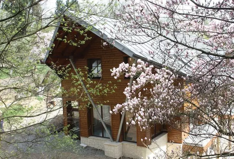 Fotos del hotel Ekosamotnia:  6