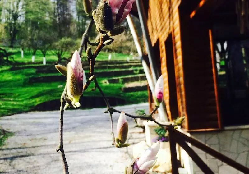 Fotos del hotel Ekosamotnia:  17