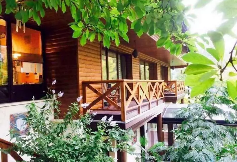 Fotos del hotel Ekosamotnia:  10