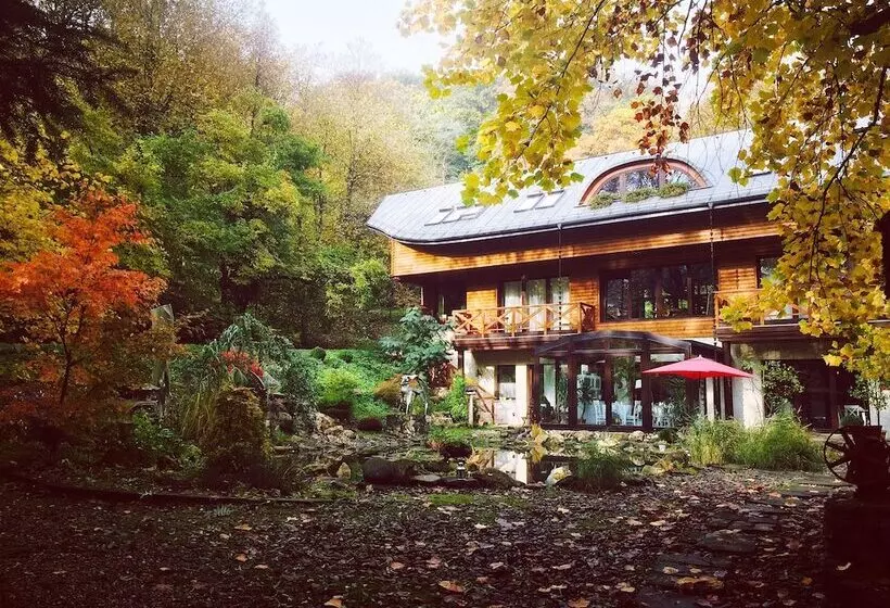 Fotos del hotel Ekosamotnia:  12