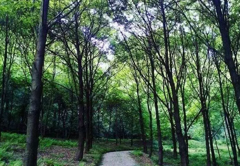 Fotos del hotel Ekosamotnia:  20