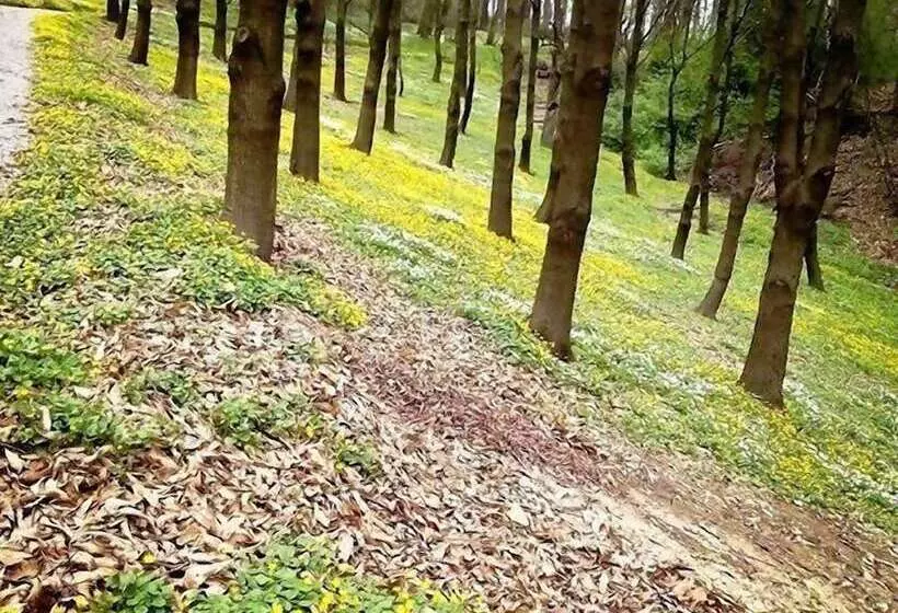 Fotos del hotel Ekosamotnia:  13