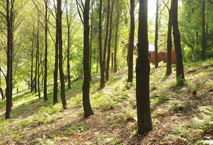 Fotos del hotel Ekosamotnia:  15