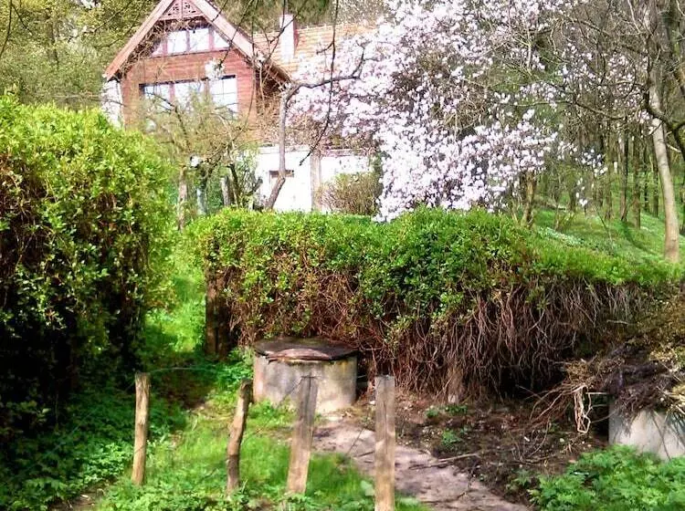 Fotos del hotel Ekosamotnia:  19