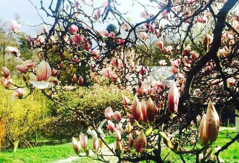 Fotos del hotel Ekosamotnia:  16