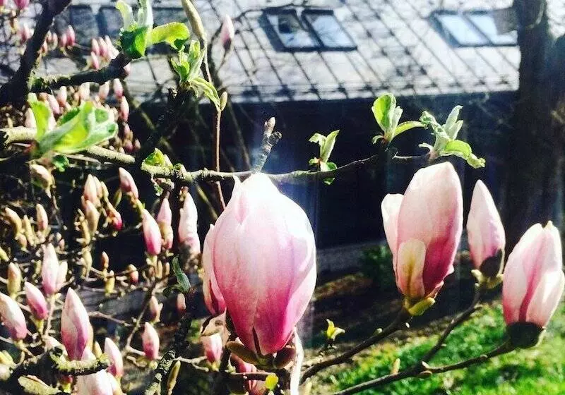 Fotos del hotel Ekosamotnia:  25