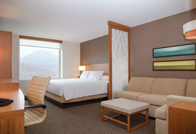 Fotos del hotel Hyatt Place La Paz:  24