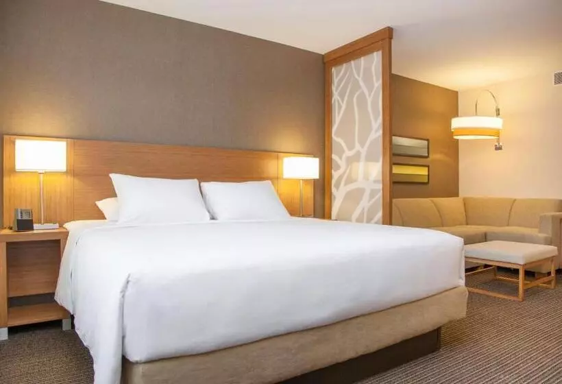 Fotos del hotel Hyatt Place La Paz:  18