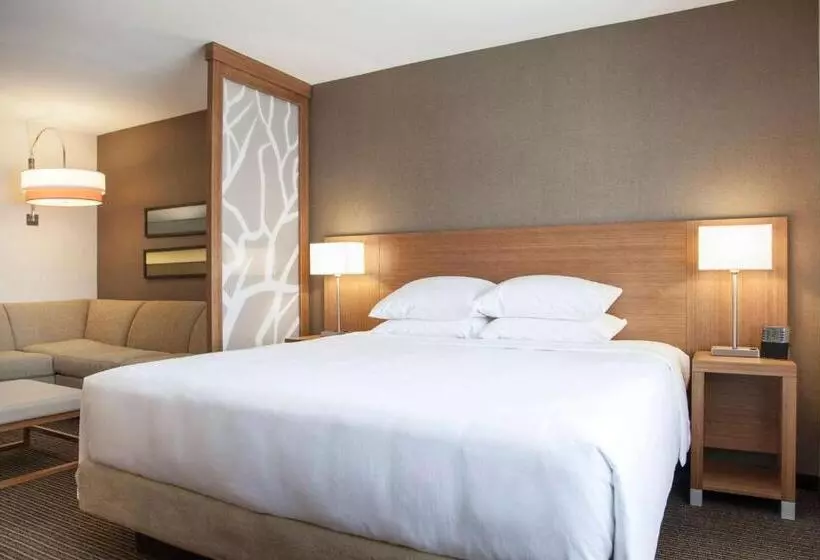 Fotos del hotel Hyatt Place La Paz:  20