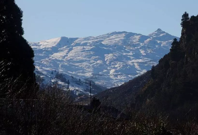 Fotos del hotel Lomond Lodge Motel & Apartments:  7