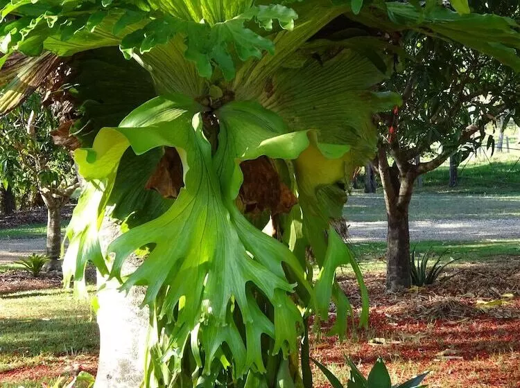 Fotos del hotel Lagoon Pocket B&b:  15