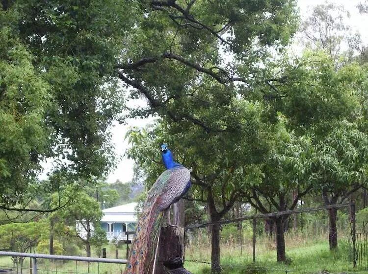 Fotos del hotel Lagoon Pocket B&b:  10