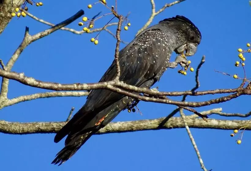 Fotos del hotel Lagoon Pocket B&b:  7