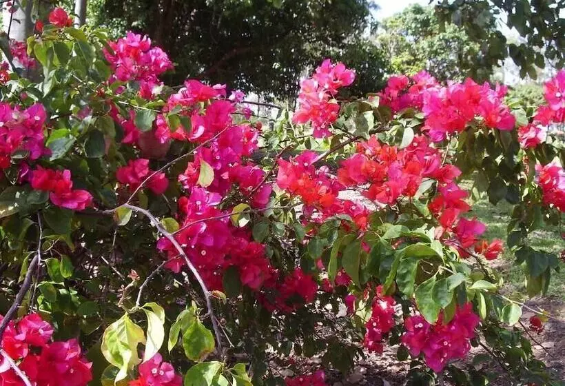 Fotos del hotel Lagoon Pocket B&b:  13