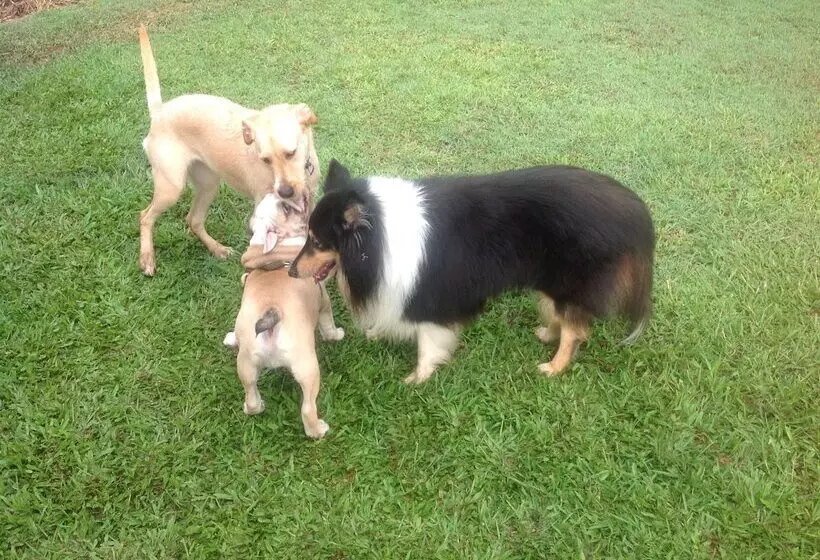 Fotos del hotel Lagoon Pocket B&b:  17