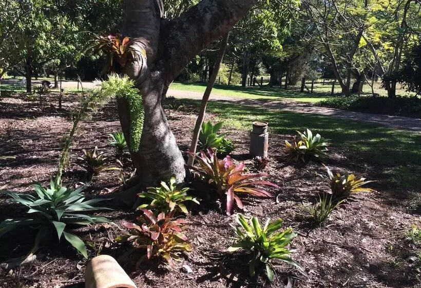 Fotos del hotel Lagoon Pocket B&b:  25