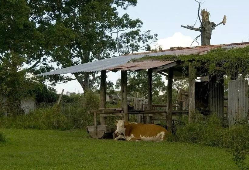 Fotos del hotel Lagoon Pocket B&b:  19