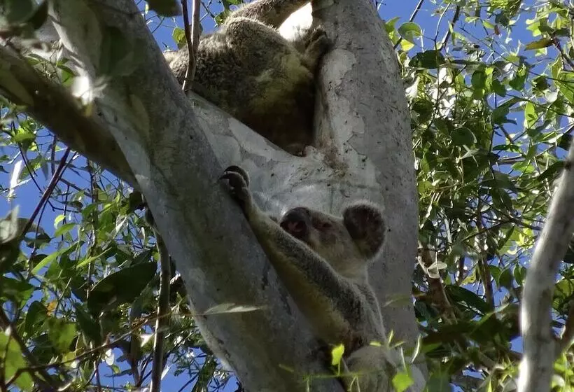 Fotos del hotel Lagoon Pocket B&b:  4