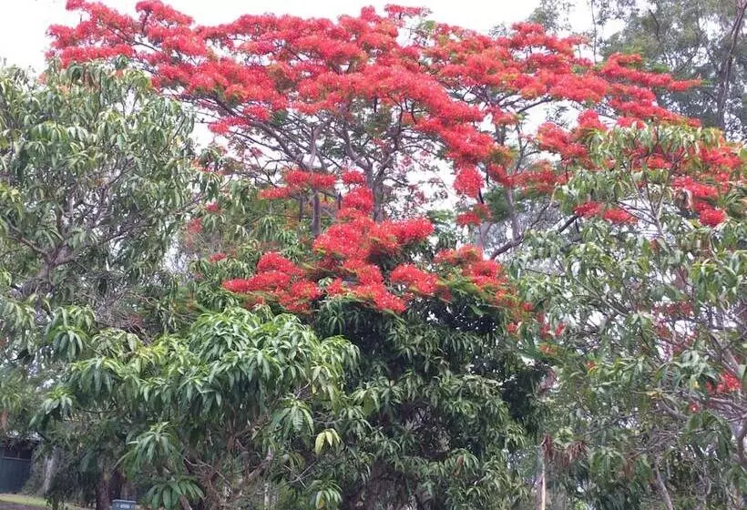 Fotos del hotel Lagoon Pocket B&b:  24