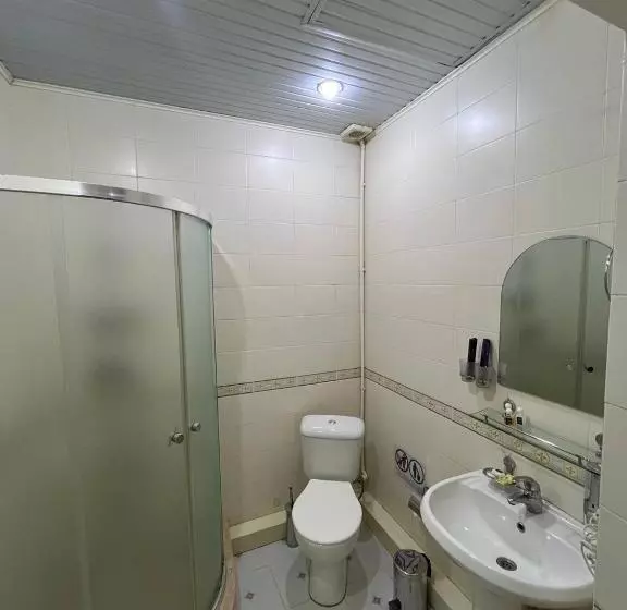 Fotos del hotel Royal Palace:  10