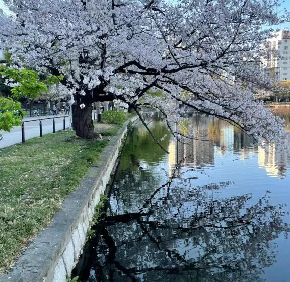 Fotos del hotel Ueno:  23