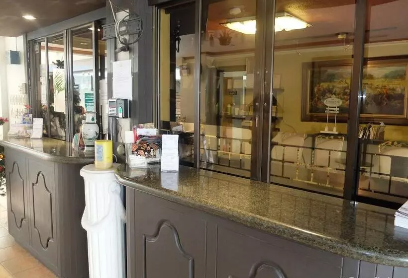 Fotos del hotel Dm Residente:  5