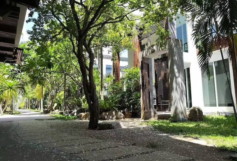 Fotos del hotel Sairee Hut Resort Koh Tao:  22