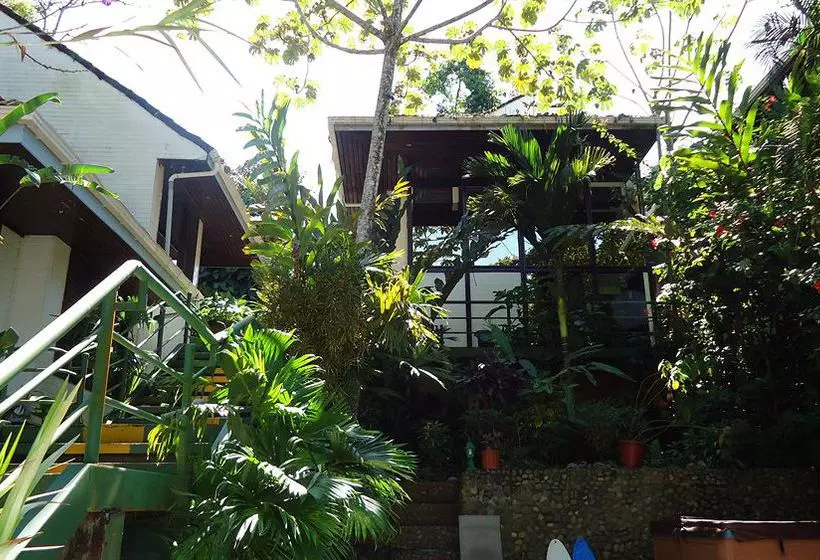 Fotos del hotel Mandarina:  16