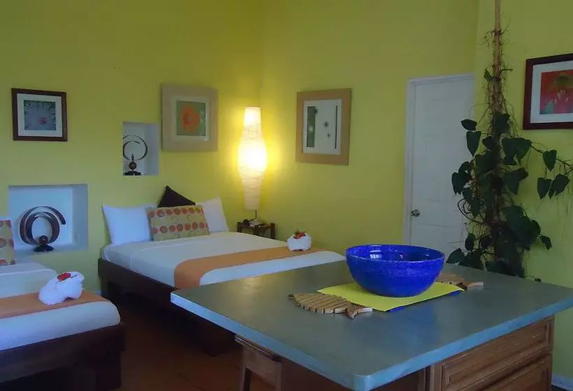 Fotos del hotel Mandarina:  21