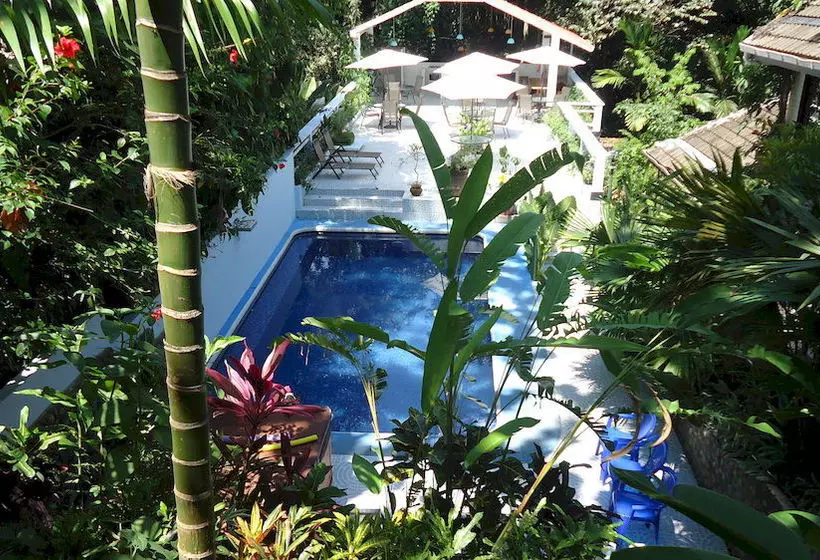 Fotos del hotel Mandarina:  17