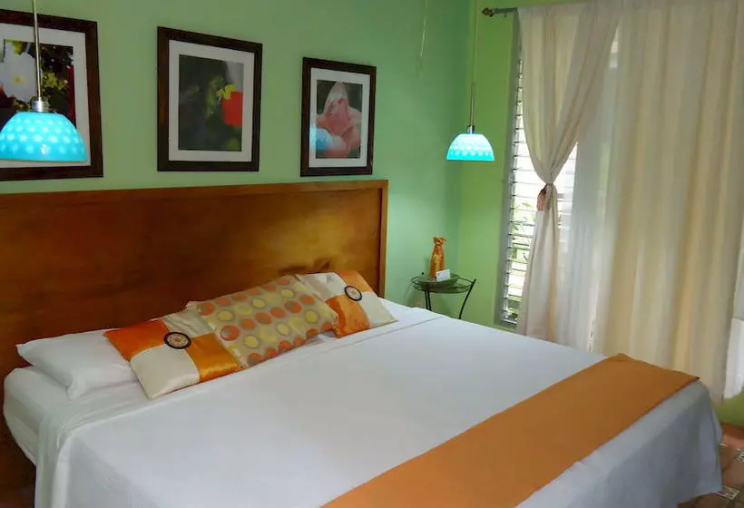 Fotos del hotel Mandarina:  2