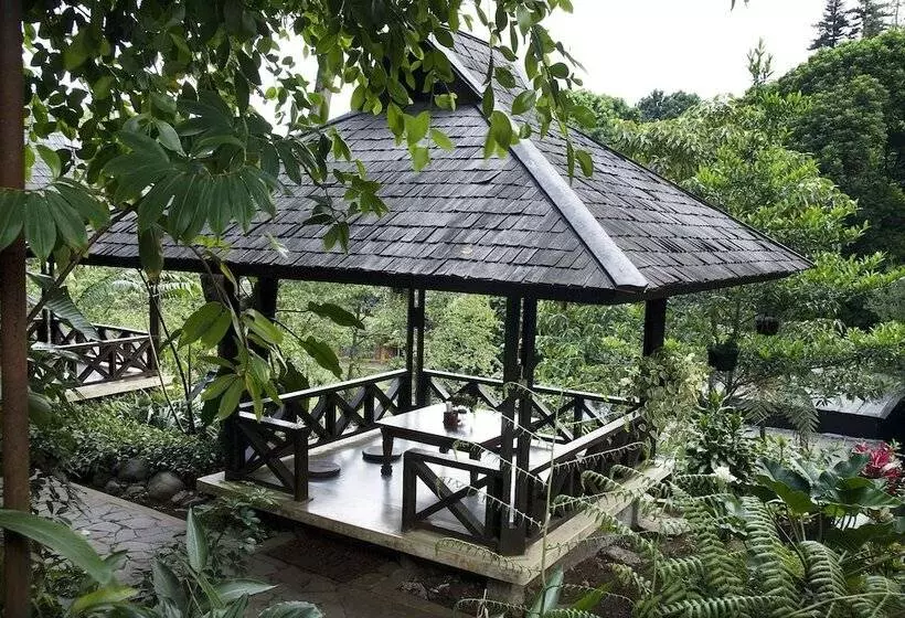 Fotos del hotel The Cipaku Garden:  11